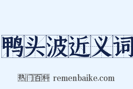 鸭头波近义词是什么意思的图片